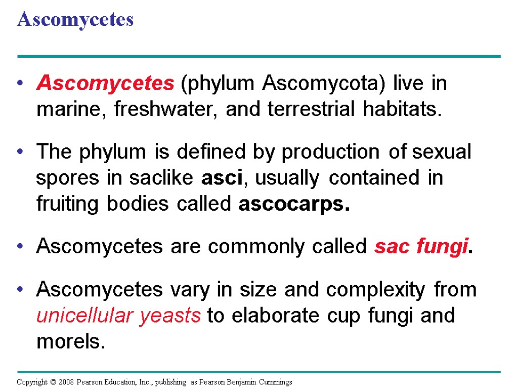 Ascomycetes Ascomycetes (phylum Ascomycota) live in marine, freshwater, and terrestrial habitats. The phylum is